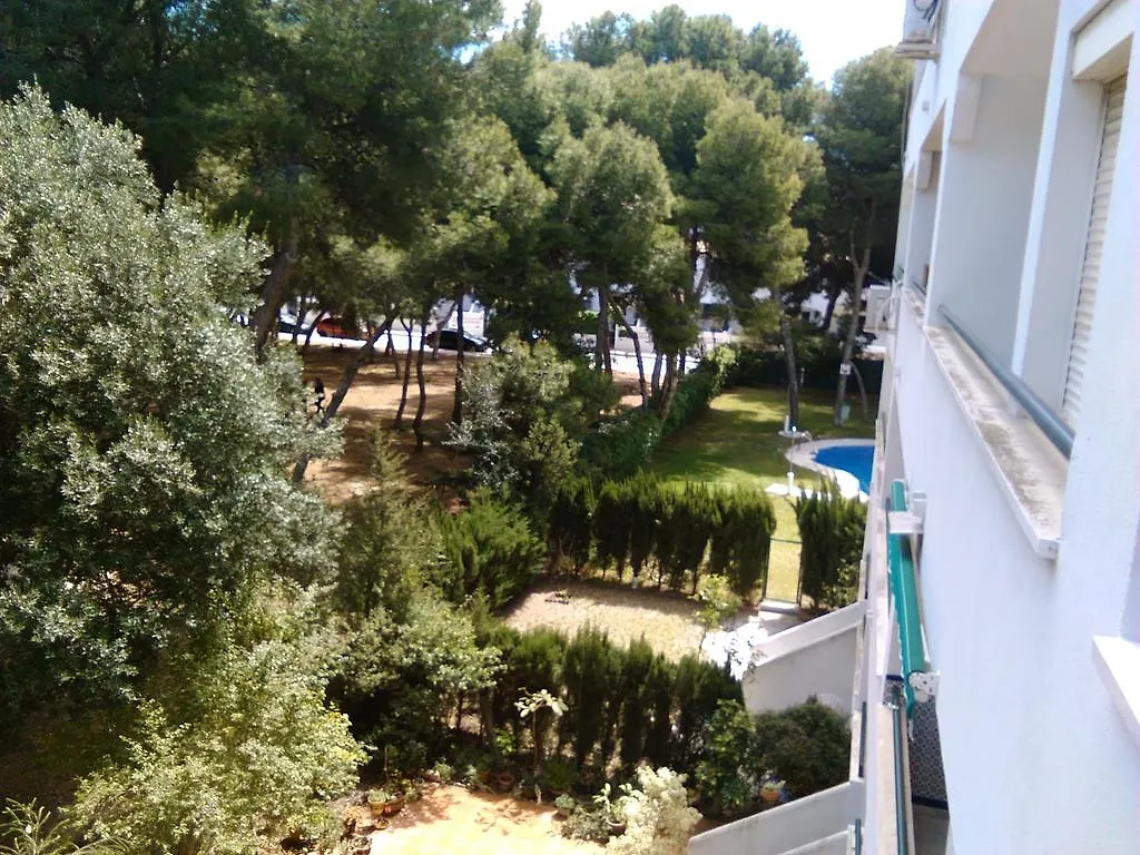 Apartamento Pinar De Montemar توريمولينوس 0*,