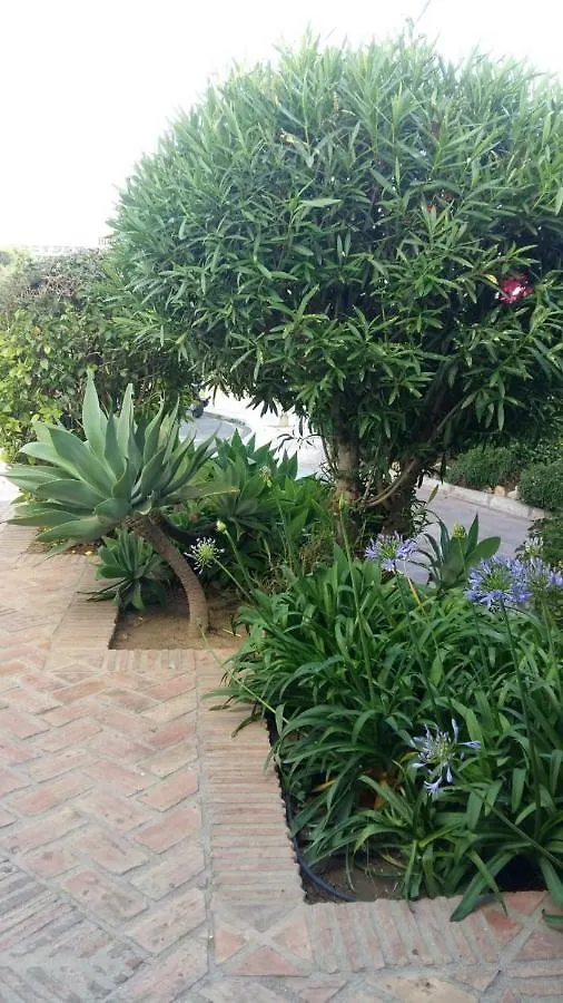 Apartamento Pinar De Montemar توريمولينوس 0*,